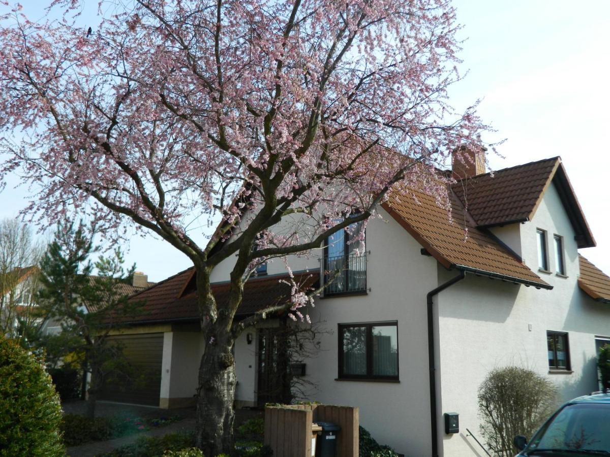 Ferienwohnung Kiko Zornheim Ngoại thất bức ảnh